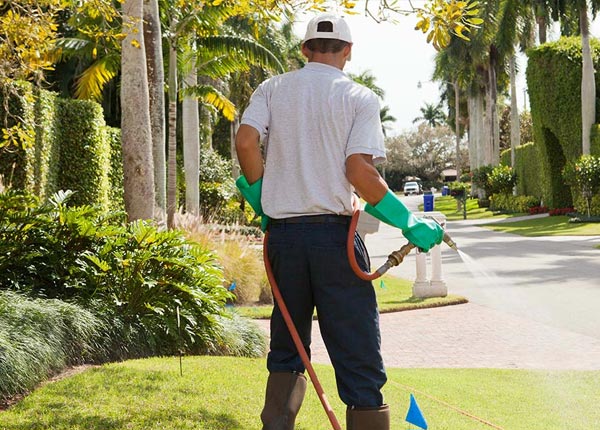 About Owenton KY Pest Control